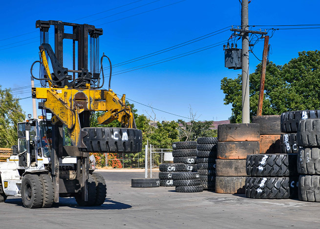 branch-image-set---mt-isa-images-1